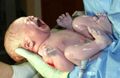 Human_infant_newborn_baby